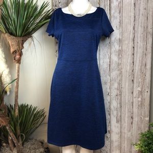 Blue Flattering Ivanka Trump Power Dress 💥